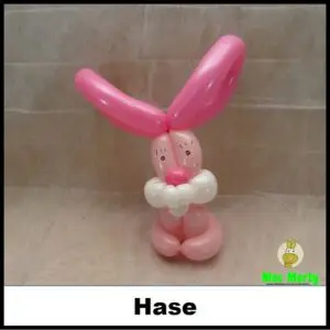 Hase