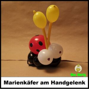 Marienkäfer_Hand2