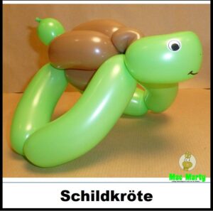 Schildkroete2