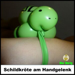 Schildkroete_Hand